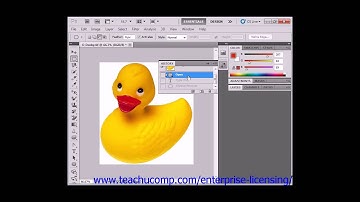 Photoshop CS6 Tutorial Undoing Mistakes and the History Panel Adobe Training