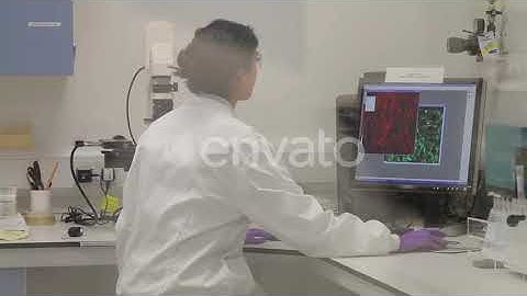 Two Scientist looking at test results on computer screen in laboratory | Stock Footage - Envato ...