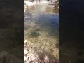 RIVER #river #nature #tartous