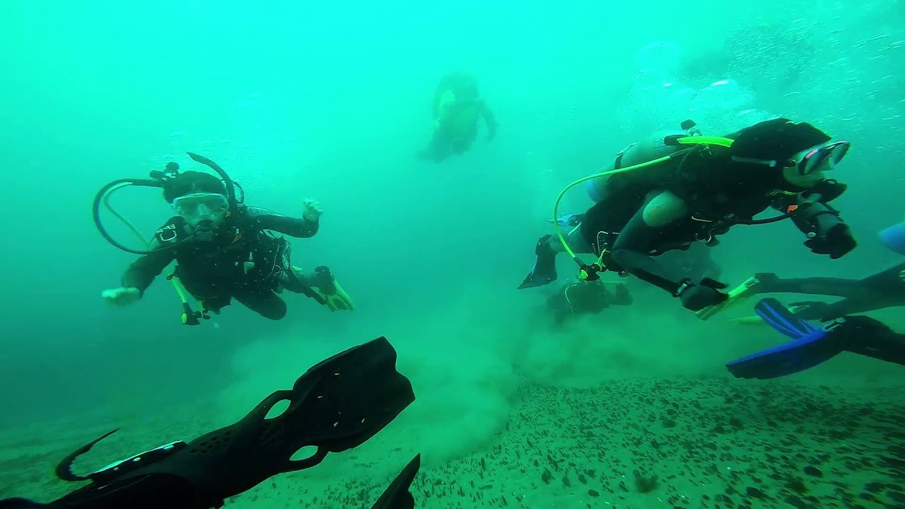 La Jolla Shores Dive - YouTube