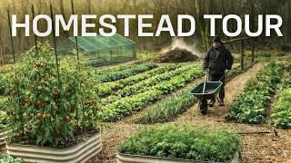Off Grid Self Sufficient Food Forest (Full Tour)