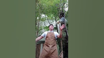 FLAIR SIMPLE ROUTINE FOR BEGINNER 1 TIN 1 BOTTLE #flair #bartender #flairbartending #mixology #bar