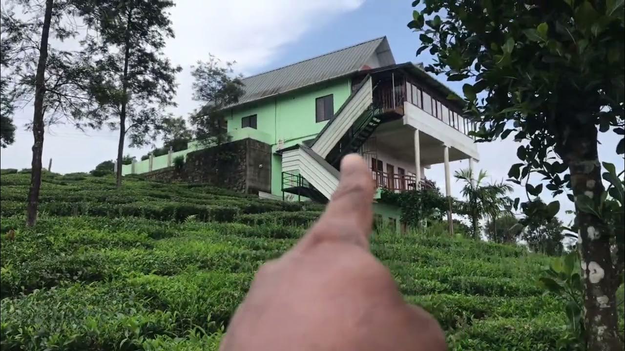 Land for sale vagamon call me 9961622220 YouTube