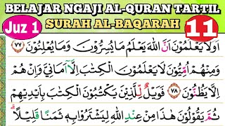 BELAJAR NGAJI PEMULA TARTIL DAN PELAN Q.S AL BAQARAH AYAT 77-83