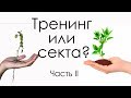 Тренинг или секта? Часть 2.