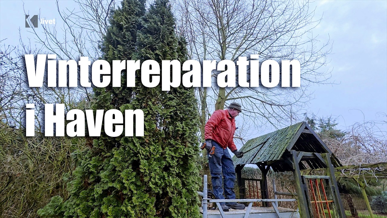 Frostskader og Vintervedligehold i Majbritts Have