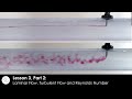 Laminar Flow, Turbulent Flow and Reynolds Number (Lesson 3, Part 2)