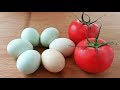 【小穎美食】西紅柿加5個雞蛋，不用炒不用烙，柔軟又拉絲，孩子天天吃不膩！