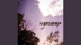 That Missing Week (Portable Dubset Mix By: The Deep Element) - The Flashbulb