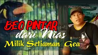 BEO PINTAR JAGO BICARA