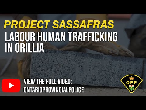 Project Sassafras - Labour Human Trafficking in Orillia