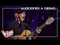 Mingo Fernández canta 'What a wonderful World' | Audiciones a ciegas | La Voz Senior Antena 3 2020