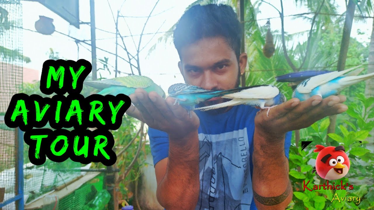 Aviary Tour | Aviary in Chennai - YouTube