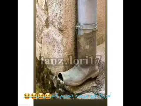 هنر نزد ایرانیان است و بس