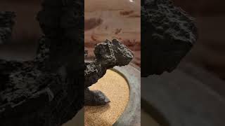 010-7170-6401