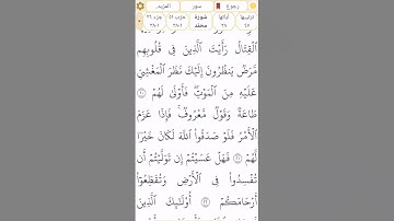 #سورة_محمد #رقم_47 القسم 8