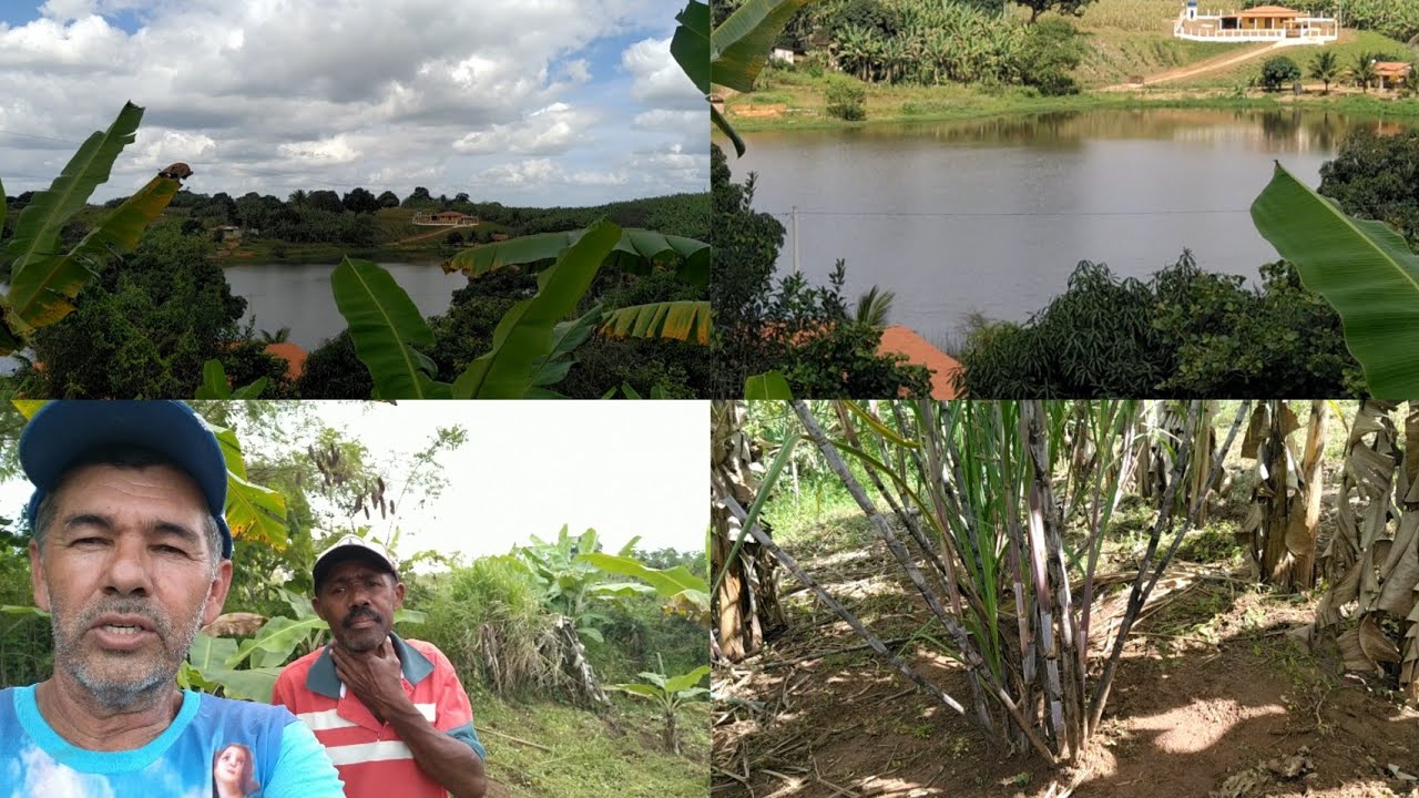com-muito-trabalho-terminarmos-de-limpar-o-s-tio-youtube