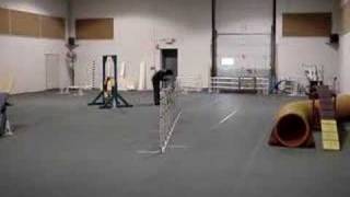 Jen and Java Doing Agility 12-22-06