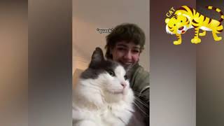 Squid Game But It's With Funny Dogs & Cats