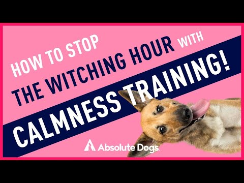 Stop The Witching Hour With Calmness Training!
