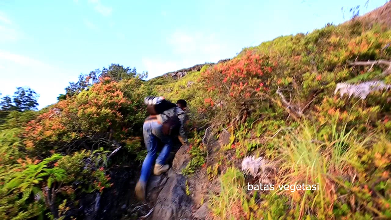 Download 93 Koleksi Gambar Gunung Ebulobo Keren Gratis