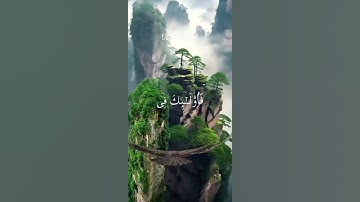 تلاوة مباركة من سورة الروم بصوت فضيلة ألشيخ عبدالله الموسى
