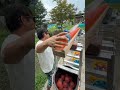 Marble Run ☆ Freedom Ball Run②