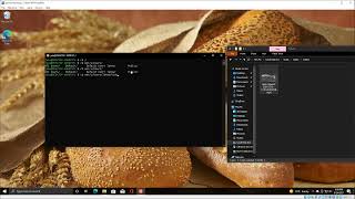 How to trim videos in Windows 10 with ffmpeg (command line)