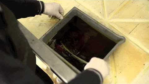 8 Etching Process   GHouse   Acid bath biting plate