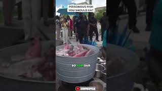 Poisonous Fish You Should Eat