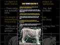 Can a Tiger Really Mimic Other Animals? The Answer Will Shock You 😲 | Amazing Tiger Facts