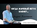 Когда жаренный петух клюнет... - пастор Андрей Плахотник  -  Церковь Перезагрузка Одесса - 18.06.23