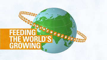 Corporate Video: 2D Animation for Netafim Irrigation Solutions for Sustainable Agriculture