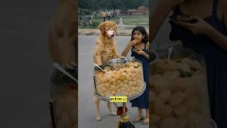 अरे का रे कटुआ #shorts  #cat #dogs