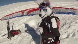 Fursuit Paraskiing (foxes can fly!)