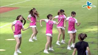 20130817 CPBL 犀牛VS象 賽前 象young女孩賽前舞蹈表演