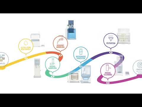 Elvasnaps Leak: The Long-Term Effects