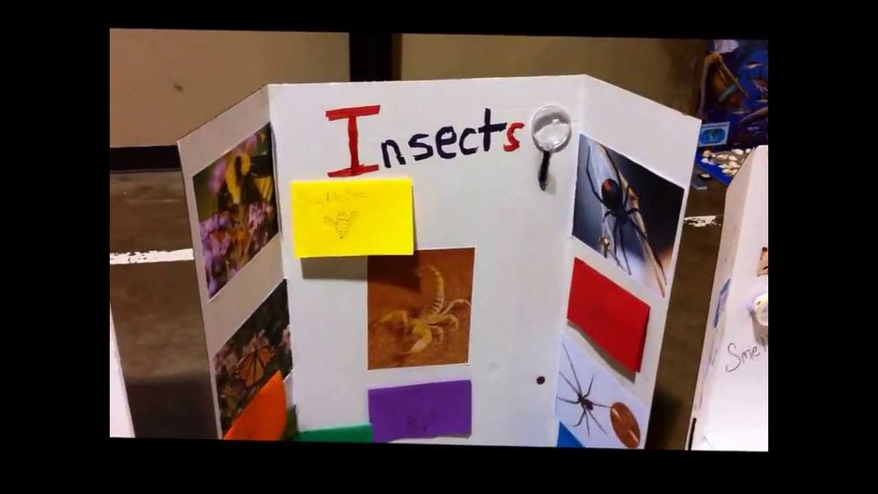 2nd Grade Science Fair 2013 - YouTube