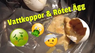 VATTKOPPOR & RÖTET ÄGG 🤢🤮🤒 | HELG VLOGG