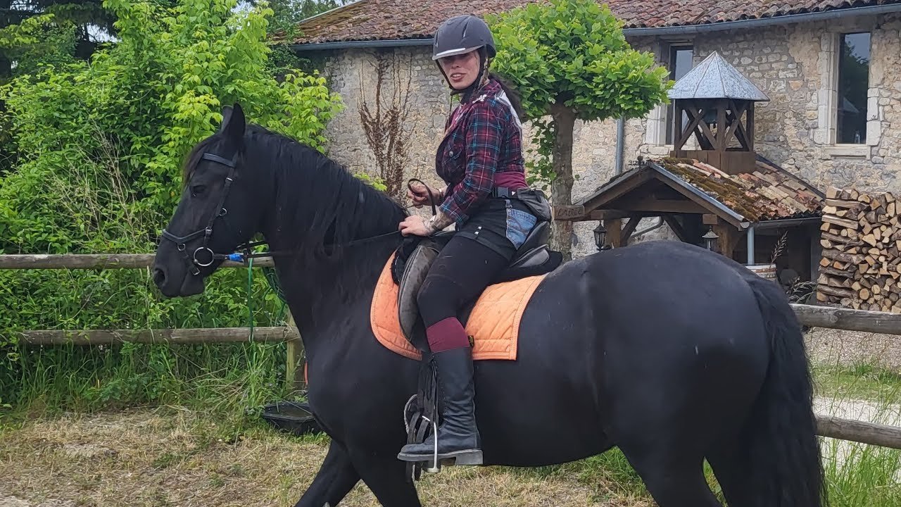 The year of transition and healing at Domaine du cloître saint-christophe, Meuse, France 2025 