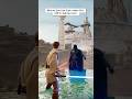 Why No One Can Push Vader Off a Cliff in Jedi Survivor.