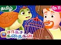 வேட்டைக்காரனும்  ஆமை அரசனும் (The Poacher and the Turtle King) ChuChu TV Storytime Adventures Ep. 11