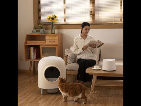 [EU] Petree Self Cleaning Cat Toilet