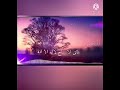 اناشيد سليم الواعي هو خالقنا