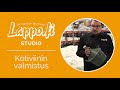 Lappo studio  winexpert 45l kotiviinin valmistaminen