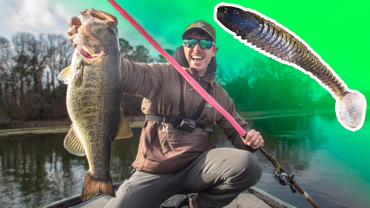 Slow Rolling Saucy Swimbait for Big Bass!
