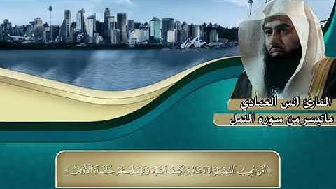 تلاوة خاشعة وجميلة بصوت الشيخ أنس العمادي حفظه الله .