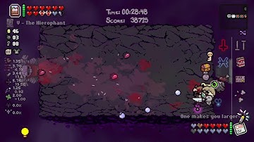 The Binding of Isaac Daily Run 25/11/2025