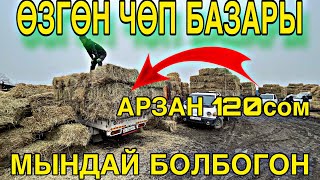 :         # # #