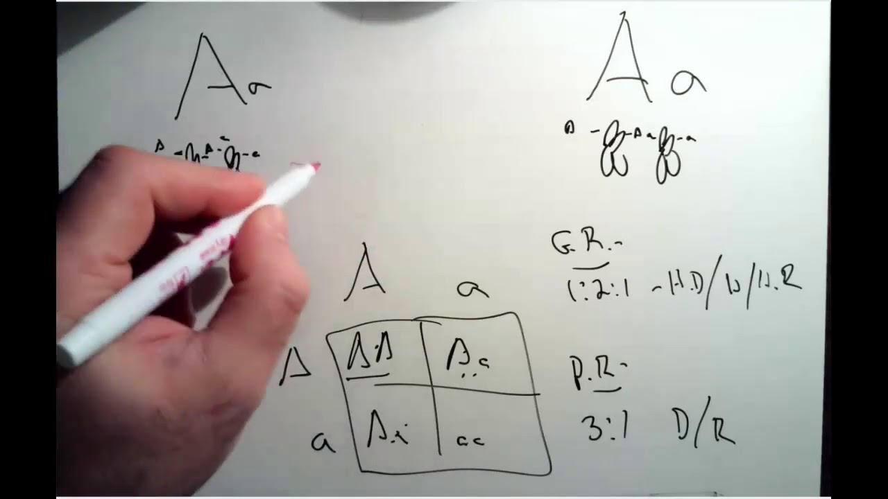 MiniReview Video - Week 3 - Lectures 3 & 4